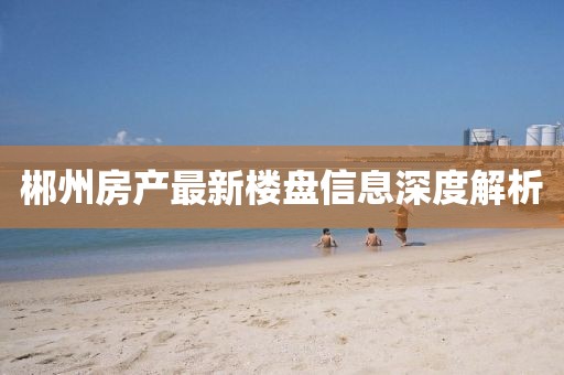 郴州房产最新楼盘信息深度解析
