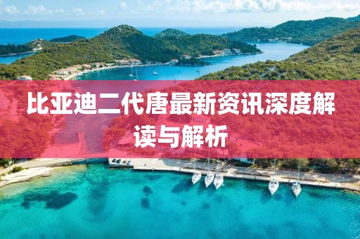 比亚迪二代唐最新资讯深度解读与解析
