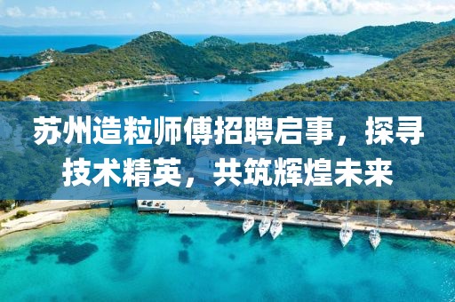 苏州造粒师傅招聘启事，探寻技术精英，共筑辉煌未来