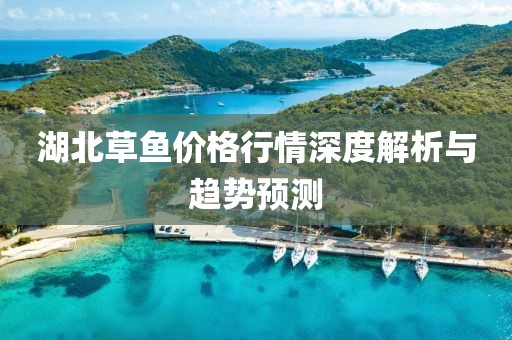 湖北草鱼价格行情深度解析与趋势预测