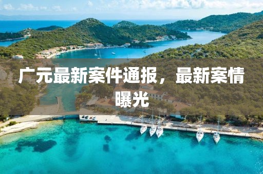 广元最新案件通报，最新案情曝光