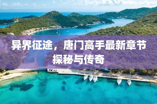 异界征途，唐门高手最新章节探秘与传奇