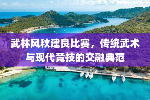 武林风秋建良比赛，传统武术与现代竞技的交融典范