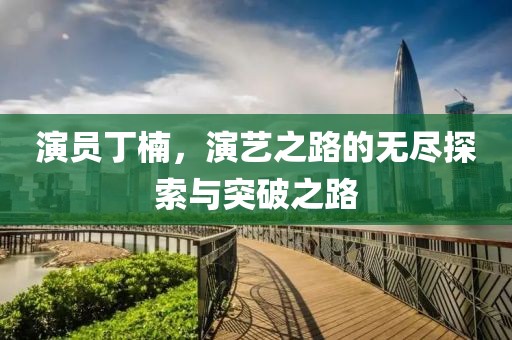 演员丁楠，演艺之路的无尽探索与突破之路