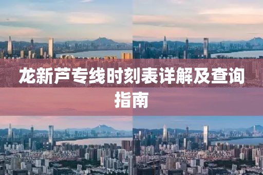 龙新芦专线时刻表详解及查询指南