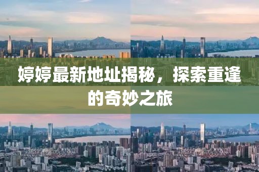 婷婷最新地址揭秘，探索重逢的奇妙之旅