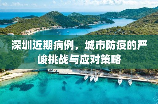 深圳近期病例，城市防疫的严峻挑战与应对策略