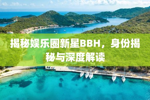 揭秘娱乐圈新星BBH，身份揭秘与深度解读