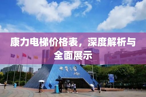 康力电梯价格表，深度解析与全面展示