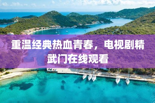 重温经典热血青春，电视剧精武门在线观看
