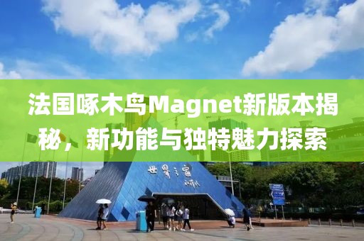 法国啄木鸟Magnet新版本揭秘，新功能与独特魅力探索