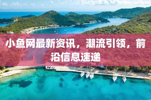 小鱼网最新资讯，潮流引领，前沿信息速递