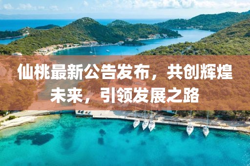 仙桃最新公告发布，共创辉煌未来，引领发展之路