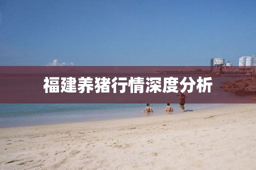 福建养猪行情深度分析