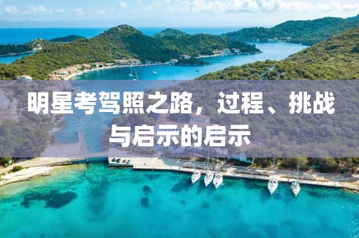 明星考驾照之路，过程、挑战与启示的启示