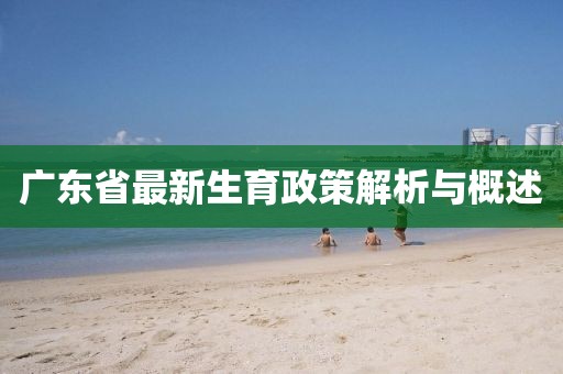 广东省最新生育政策解析与概述