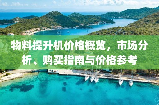 物料提升机价格概览，市场分析、购买指南与价格参考