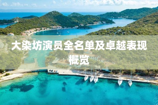 大染坊演员全名单及卓越表现概览