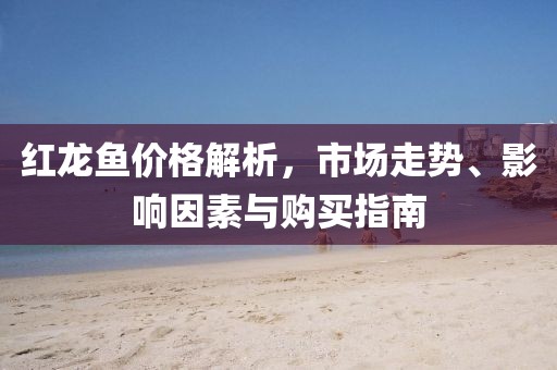 红龙鱼价格解析，市场走势、影响因素与购买指南