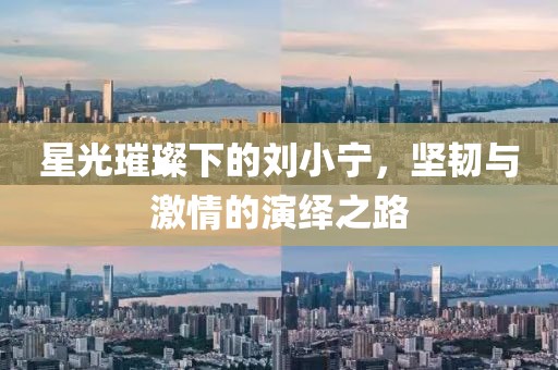 星光璀璨下的刘小宁，坚韧与激情的演绎之路