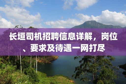长垣司机招聘信息详解，岗位、要求及待遇一网打尽