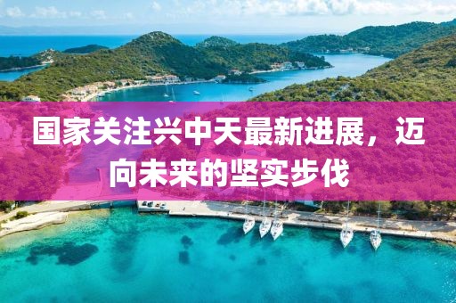 国家关注兴中天最新进展，迈向未来的坚实步伐