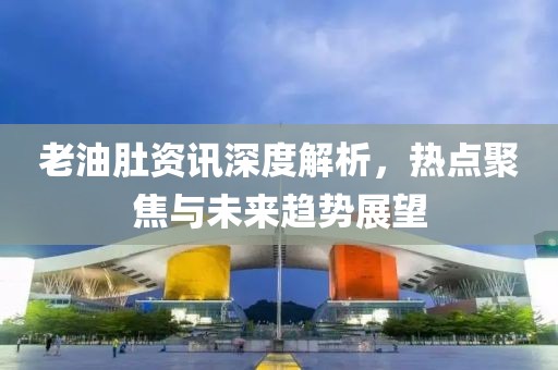 老油肚资讯深度解析，热点聚焦与未来趋势展望