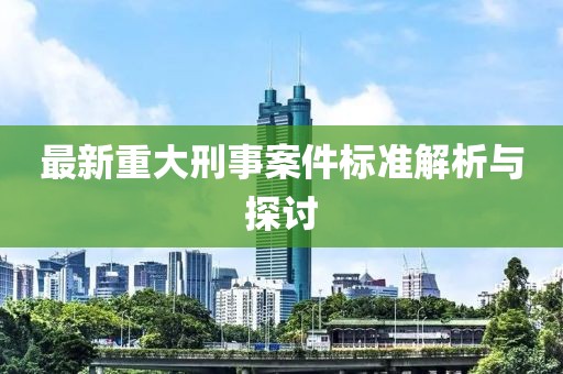 最新重大刑事案件标准解析与探讨