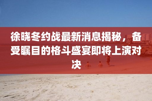 徐晓冬约战最新消息揭秘，备受瞩目的格斗盛宴即将上演对决