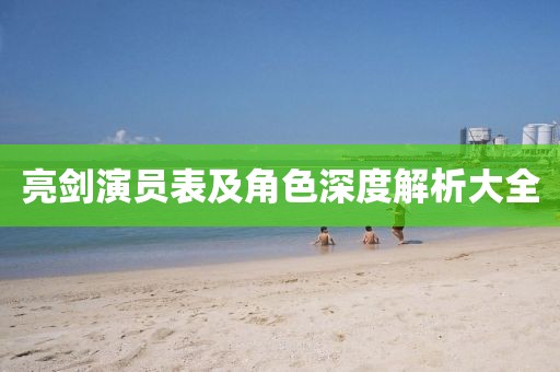 亮剑演员表及角色深度解析大全