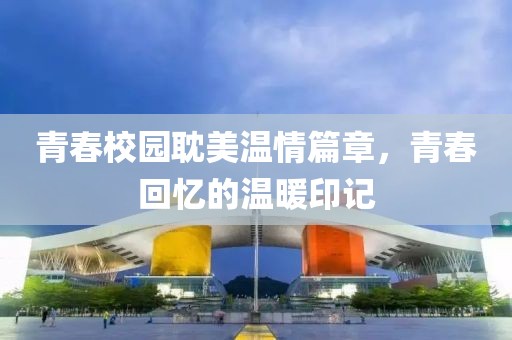 青春校园耽美温情篇章，青春回忆的温暖印记