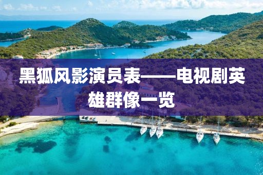 黑狐风影演员表——电视剧英雄群像一览