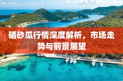 硒砂瓜行情深度解析，市场走势与前景展望