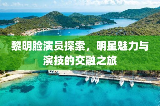 黎明脸演员探索，明星魅力与演技的交融之旅
