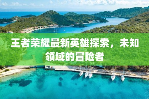 王者荣耀最新英雄探索，未知领域的冒险者