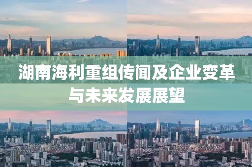 湖南海利重组传闻及企业变革与未来发展展望