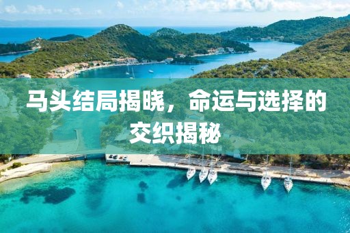 马头结局揭晓，命运与选择的交织揭秘