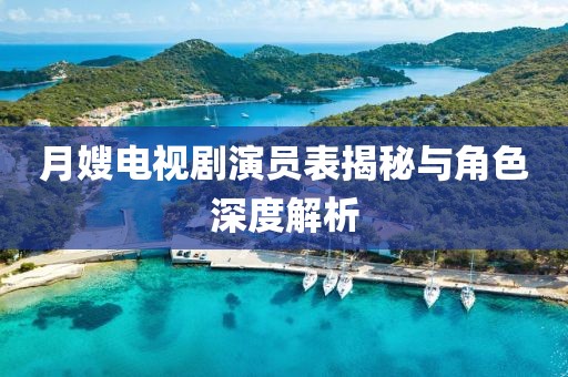月嫂电视剧演员表揭秘与角色深度解析