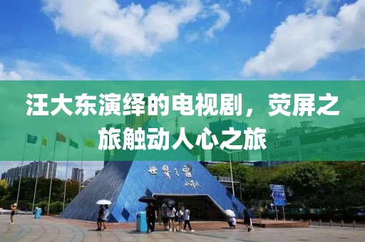 汪大东演绎的电视剧，荧屏之旅触动人心之旅