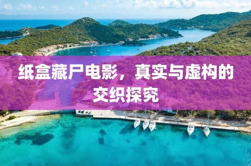 纸盒藏尸电影，真实与虚构的交织探究