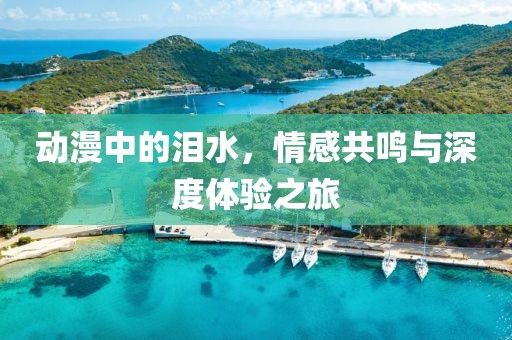 动漫中的泪水，情感共鸣与深度体验之旅