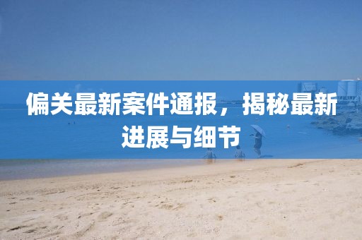 偏关最新案件通报，揭秘最新进展与细节