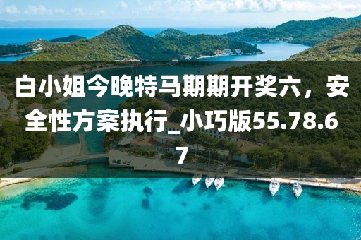 白小姐今晚特马期期开奖六，安全性方案执行_小巧版55.78.67