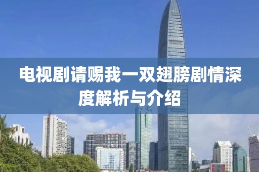 电视剧请赐我一双翅膀剧情深度解析与介绍