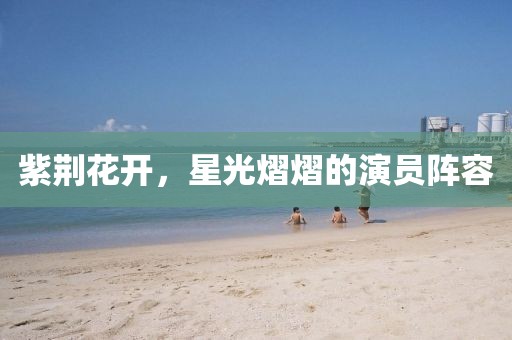 紫荆花开，星光熠熠的演员阵容
