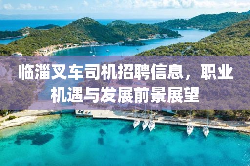 临淄叉车司机招聘信息，职业机遇与发展前景展望