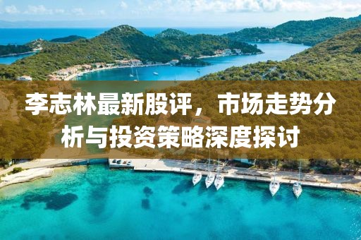 李志林最新股评，市场走势分析与投资策略深度探讨