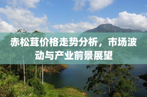 赤松茸价格走势分析，市场波动与产业前景展望