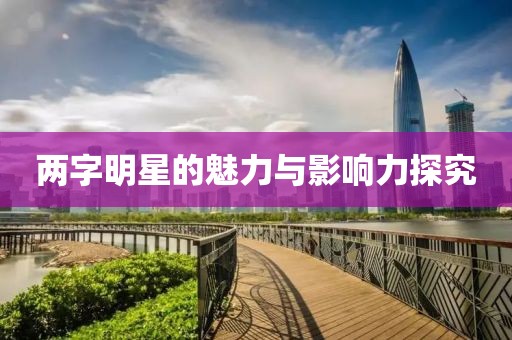 两字明星的魅力与影响力探究