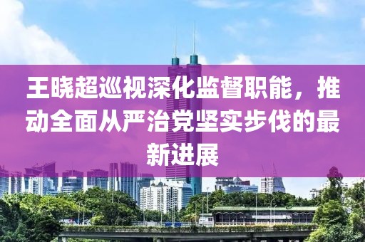 王晓超巡视深化监督职能，推动全面从严治党坚实步伐的最新进展